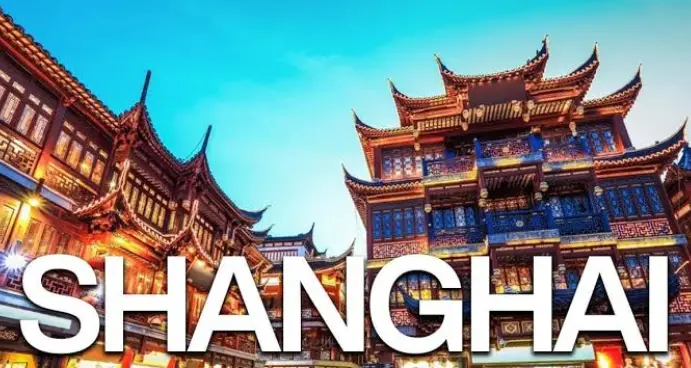 上海野生动物园-宣桥：浦东白领单身周末看大熊猫的治愈之旅🐼